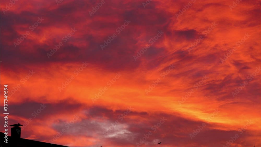 Silhouettes of seagulls are flying in the clear sunset orange Silhouettes of seagulls are flying in the clear sunset orange