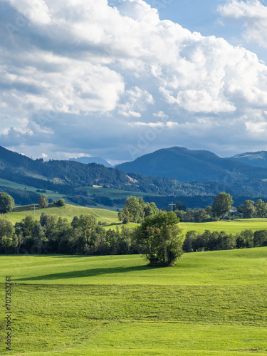 Green landscape in Allgovia  Germany..