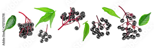 Black elderberry fruit clusters and green leaves isolated on a white background, top view. European black elderberry, Sambucus. photo