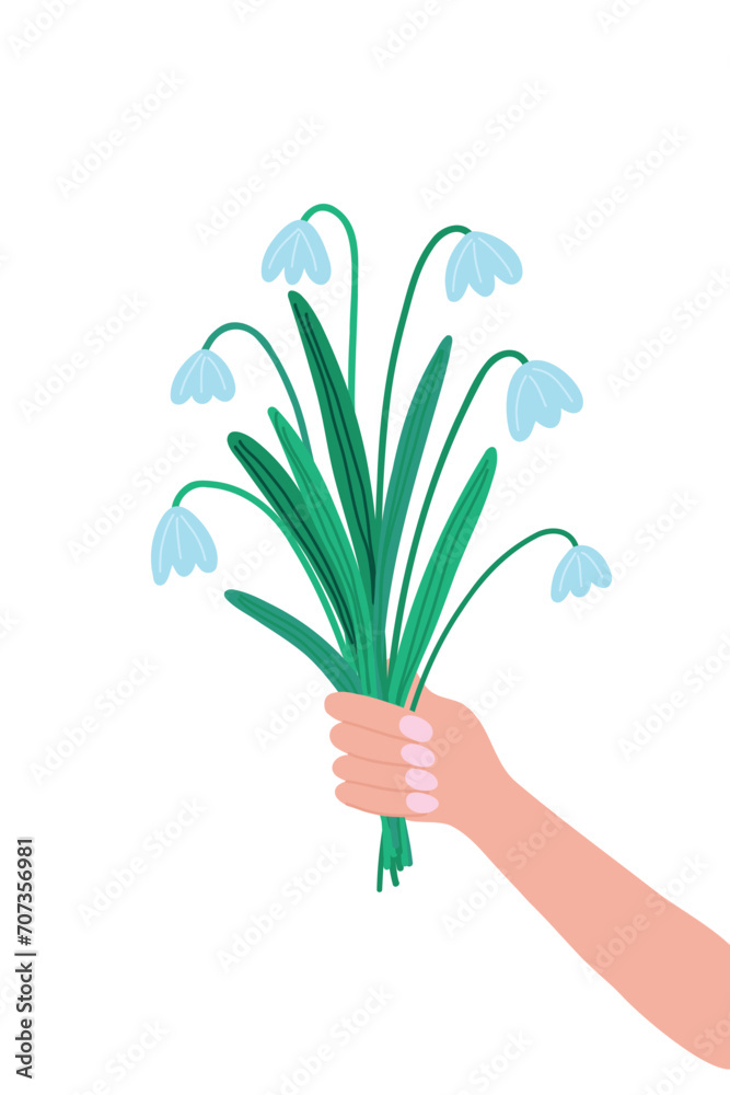 Fototapeta premium Bouquet of blue snowdrops held by a woman's hand on a white background. First flowers, spring, for print, banners, postcards, design elements. Vector.