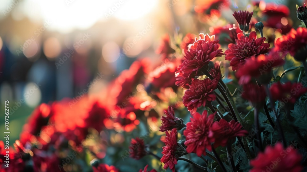 a close up of a bunch of red flowers in the foreground with a blurry background of trees and buildings in the backgrould of the picture. a close up of a bunch of red flowers in the foreground with a blurry background of trees and buildings in the backgrould of the picture.