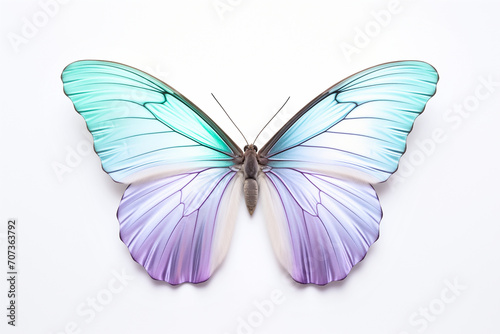 Beautiful colorful bright multicolored tropical butterflies with wings spread in flight isolated on white background, close-up macro.