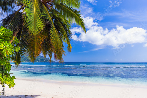 Fototapeta Naklejka Na Ścianę i Meble -  Beau Vallon beach, Seychelles. Coastal landscape with palm tree and white sand under cloudy sky