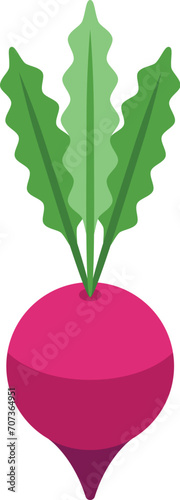 Red beet food icon isometric vector. Borsch ingredient. Cook meal