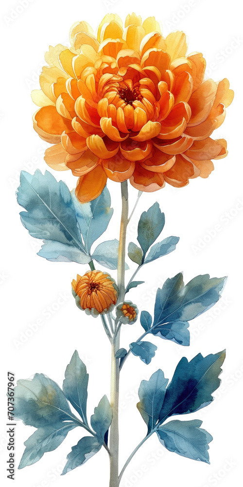 Fototapeta premium A painting of an orange flower with blue leaves, golden chrysanthemum flower.