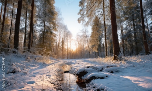 Beautiful winter forest landscape with trees covered with hoarfrost and snow © TheoTheWizard