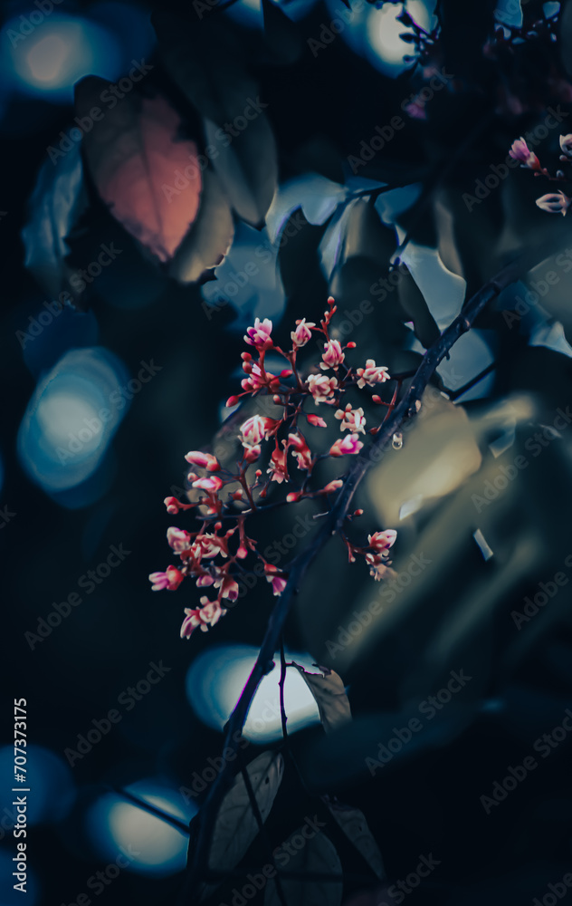 flor hermosa azul con rojo en un árbol en primavera