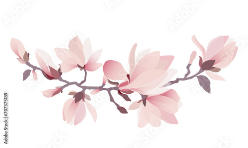 Garland of magnolia flowers. Beautiful pink blossom of magnolia tree. Hand drawn flat illustration on white background. Vector