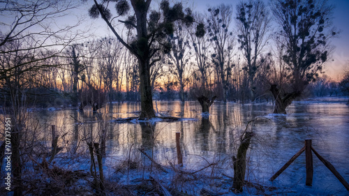Winter Flood Landscape