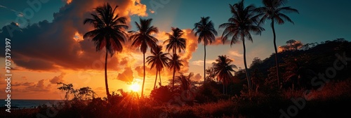 Tropical Tranquility: A Sunset Scene with Palm Trees in a Tropical Environment - A Panoramic View Featuring Silhouettes, Relaxation, and Nature's Evening Beauty.