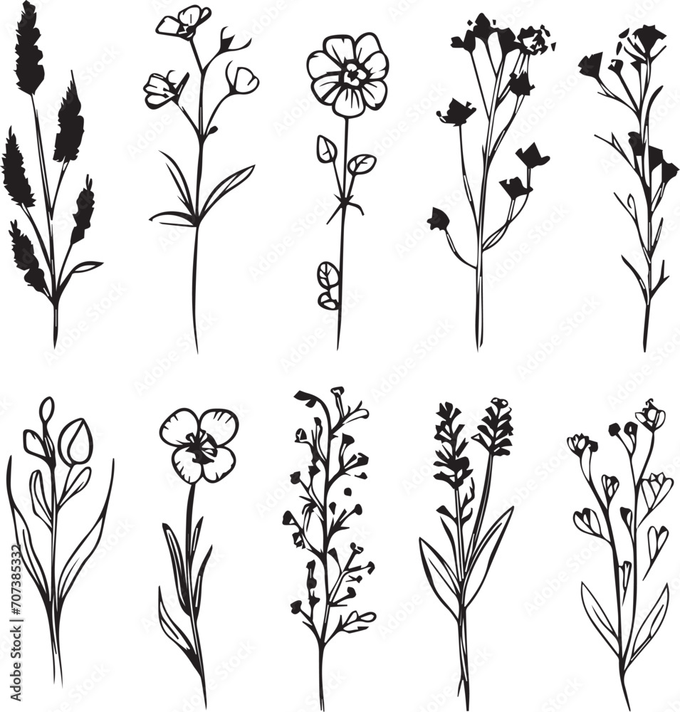 Set Flowers. Hand drawn vector illustration Set Flowers. Hand drawn vector illustration