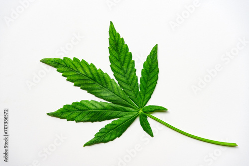 Cannabis leaf isolated on white background. Medical marijuana concept.