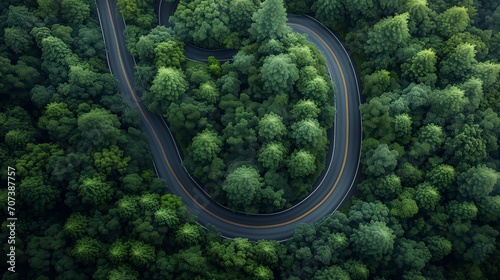 Serene Winding Road Through Lush Forest