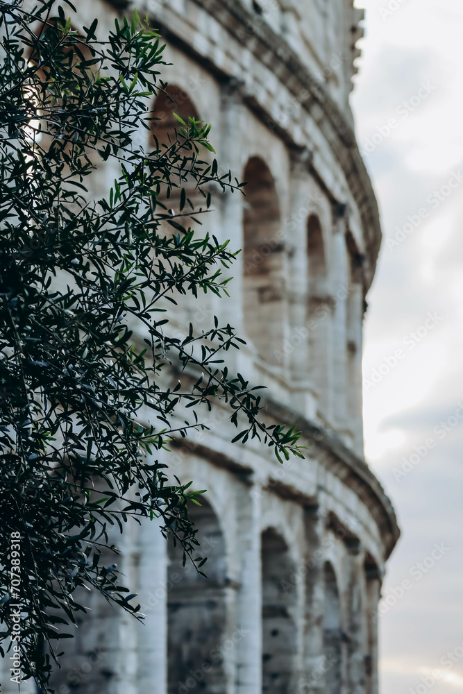 Obraz premium Colosseum, an elliptical amphitheatre in the centre of the city of Rome, Italy
