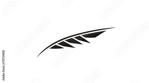 a black feather with triangles