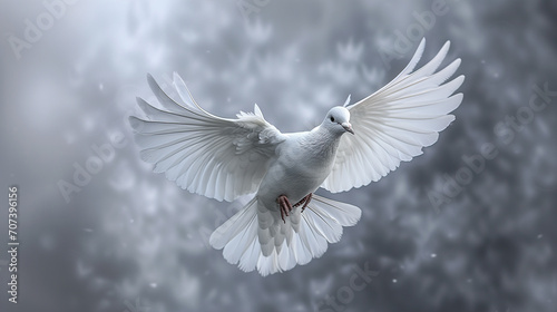 dove  a symbol of peace and freedom celebrated worldwide
