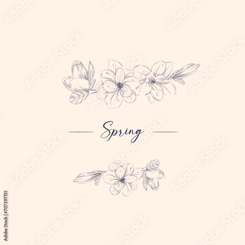 Magnolia blossom, tree branch flowers with dot and line. Vector artwork. Love bohemia concept for wedding invitation card, ticket, branding, boutique logo label.
