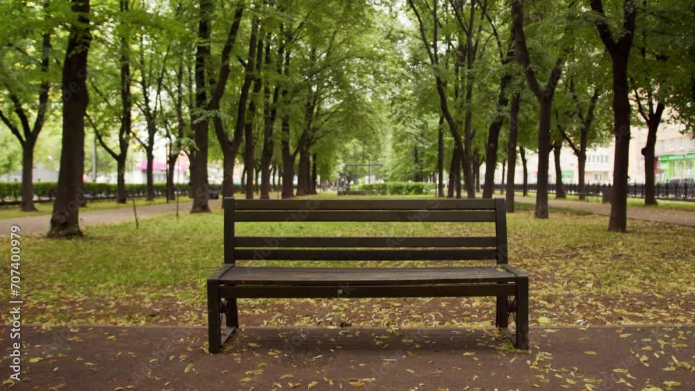wooden bench in autumn park, leaves on trees begin to turn yellow. Empty seating space in alley on street in city park. wooden bench in autumn park, leaves on trees begin to turn yellow. Empty seating space in alley on street in city park.