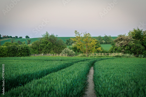 Two Paths Crossing a Lush Green Field