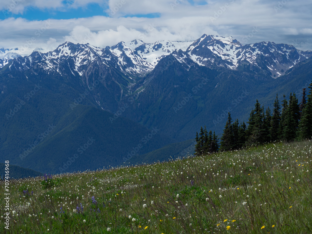 Φωτογραφία The snow covered peaks of the Olympic Mountains rise high into the sky as seen from the Hurricane Ridge viewpoint in Olympic National Park