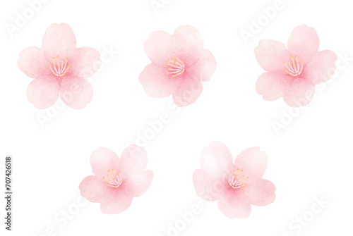 満開の桜の水彩イラストセット_かわいい手描きの春の花の背景_フレーム © Nori