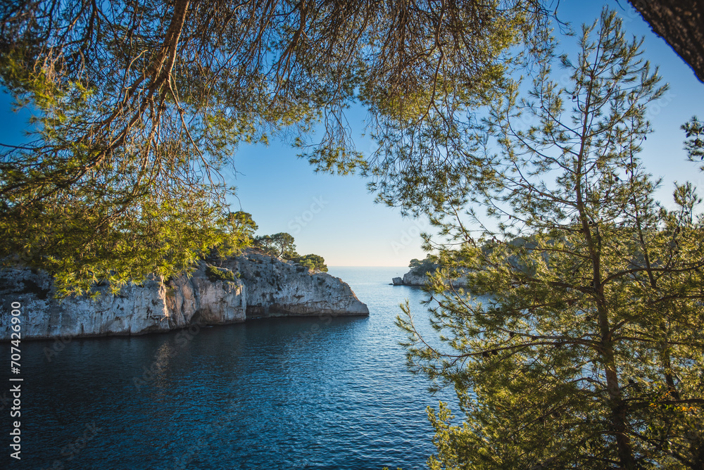 Mediterranean Embrace: Calanque Horizon Through Pines
