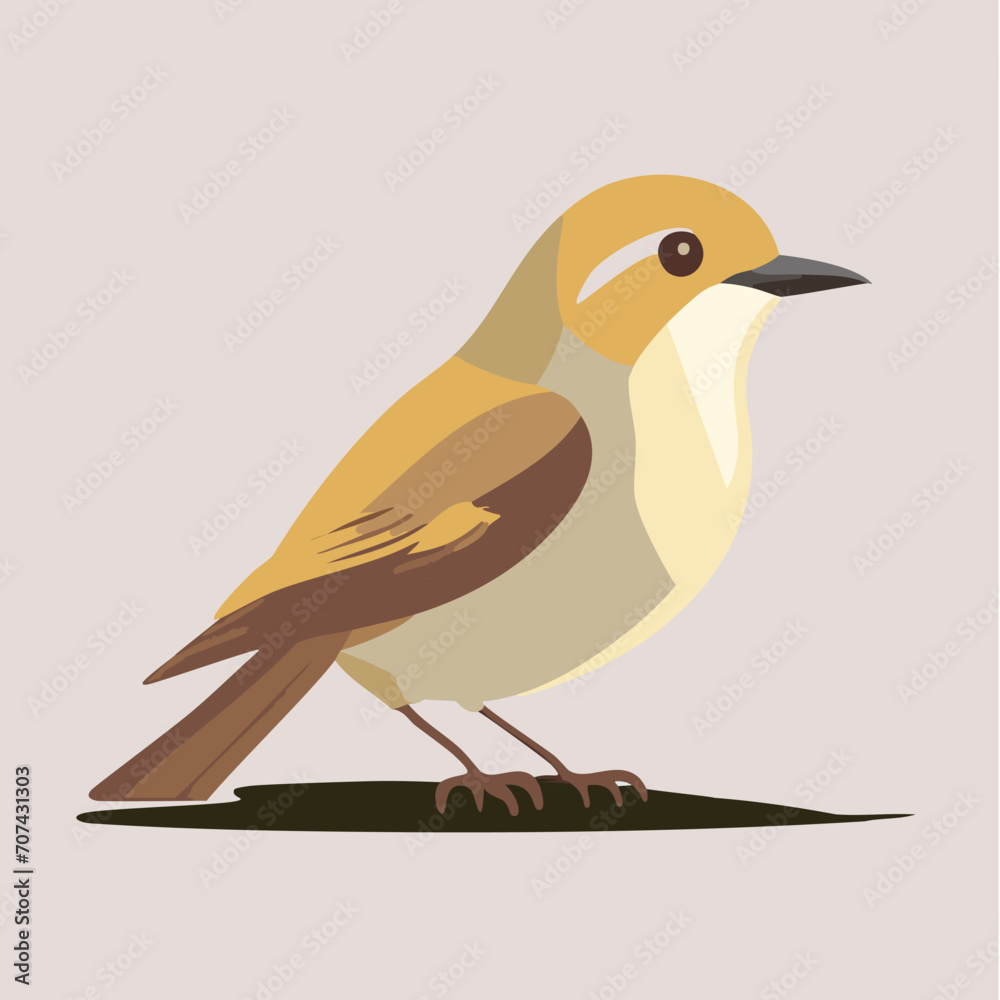 Fototapeta premium Sparrow Finch Vector 