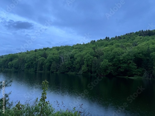 lake in the woods