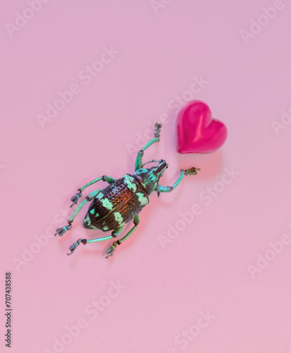 Striped Love Bug Beetle Insect with Pink Heart on a Pastel Background
