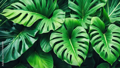 Tropical green leaves background, close-up view, generated by AI