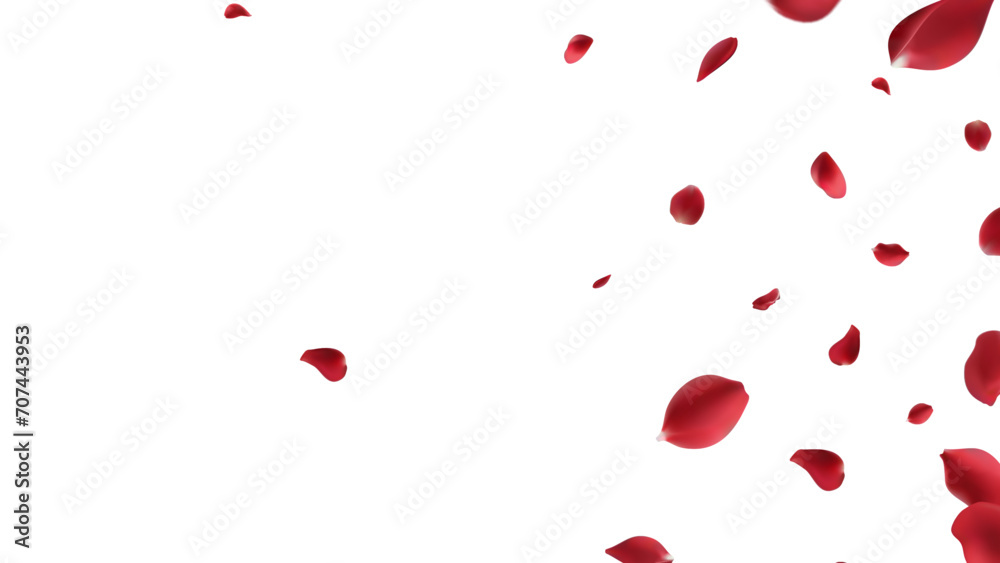 Valentine's day Vector red symbols of love border for romantic banner or Red rose petals will fall on abstract floral background with gorgeous rose greeting card design. on transparent background Valentine's day Vector red symbols of love border for romantic banner or Red rose petals will fall on abstract floral background with gorgeous rose greeting card design. on transparent background