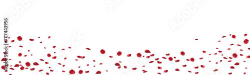 Valentine's day Vector red symbols of love border for romantic banner or Red rose petals will fall on abstract floral background with gorgeous rose greeting card design. on transparent background