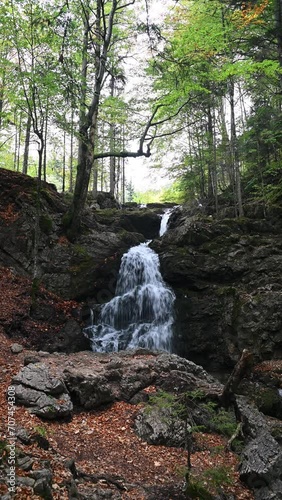 Vertical shot of a waterfall in a forest in autumn, Josefsthaler Wasserfälle