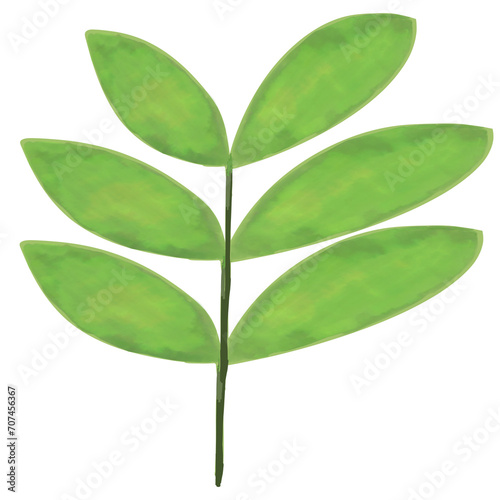 green leaf isolated on white background