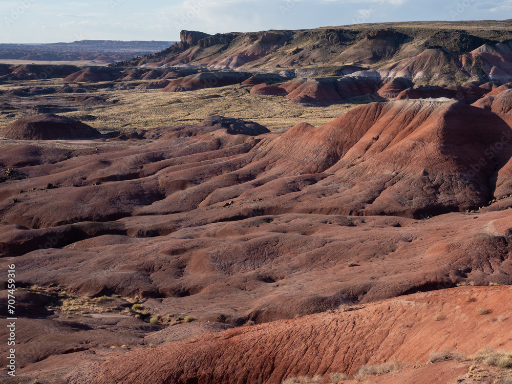 Φωτογραφία Scenic view of Painted Desert area of Petrified Forest National Park - AZ, USA