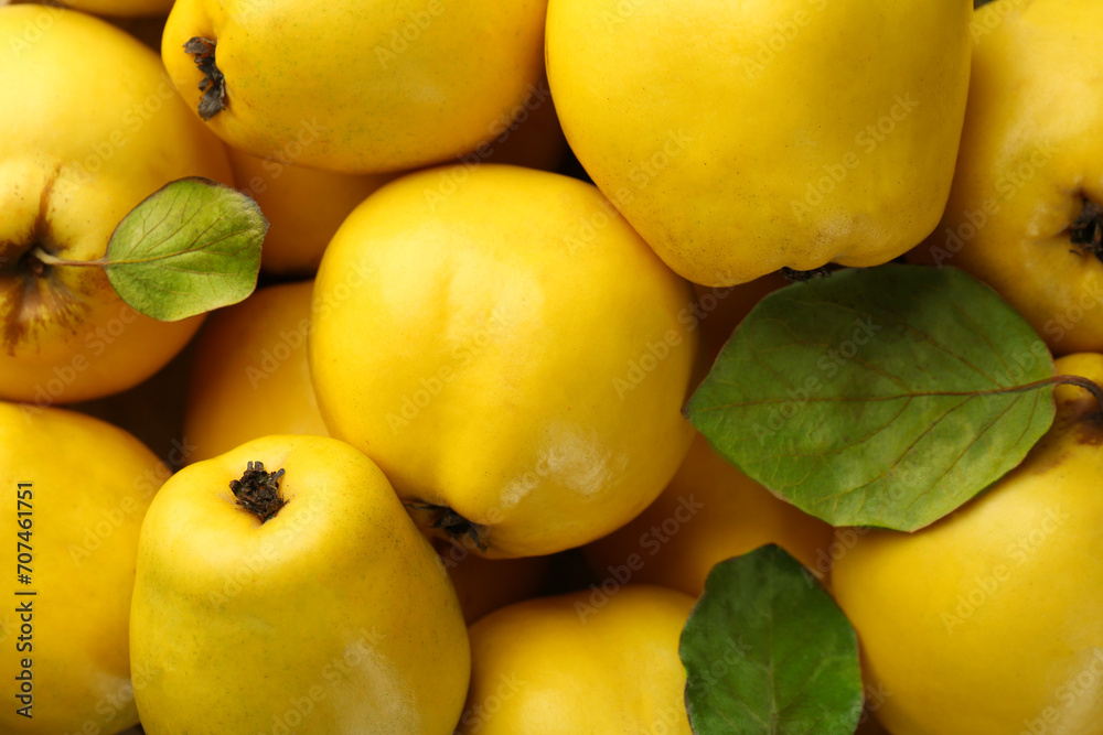 Tasty ripe quince fruits and leaves as background, top view