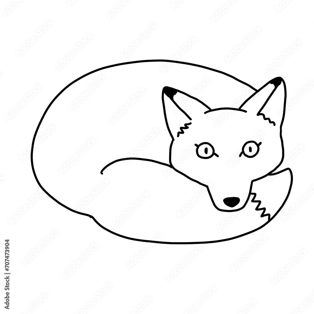 Fototapeta premium 丸まるキツネのイラスト