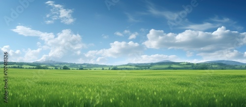 natural scenic panorama green field.Beautiful natural scenic panorama green field of cut grass into and blue sky with clouds on horizon.