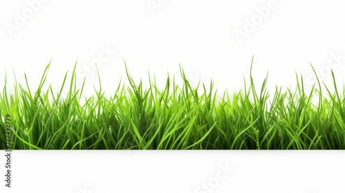 A green grass Fresh on a white isolated transparent background.