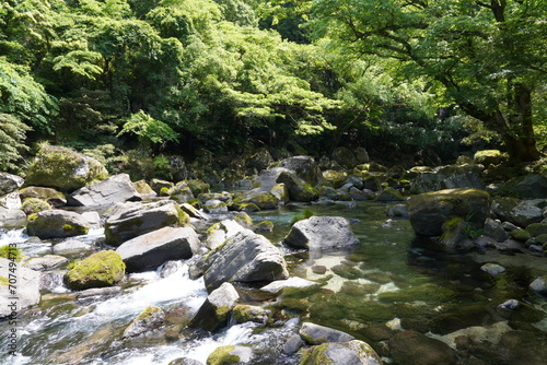 雄川の滝 鹿児島 ogawa waterfall 