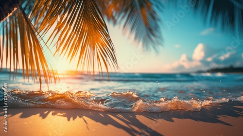 Tropical Beach With Palm Tree at the Foreground