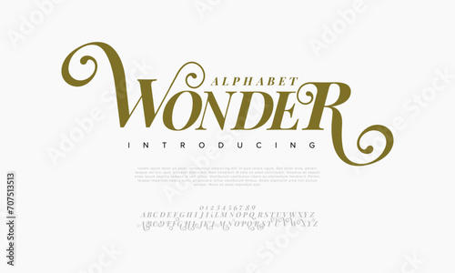 Wonder premium luxury elegant alphabet letters and numbers. Elegant wedding typography classic serif font decorative vintage retro. Creative vector illustration