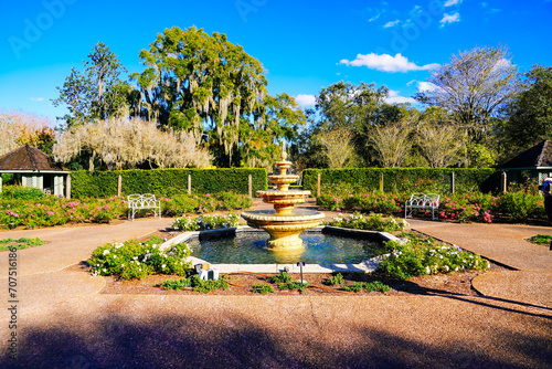 Orlando Leu Botanic Garden flower/plant in winter 