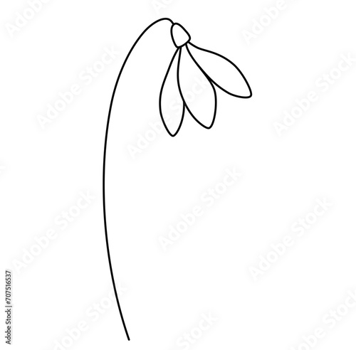 Snowdrop minimalist birth month flowers doodle line art 