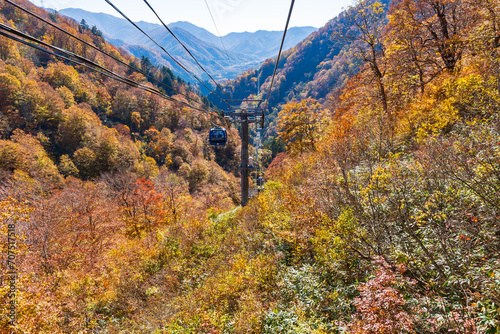 日本の風景　新潟県湯沢町　苗場ドラゴンドラの紅葉 photo