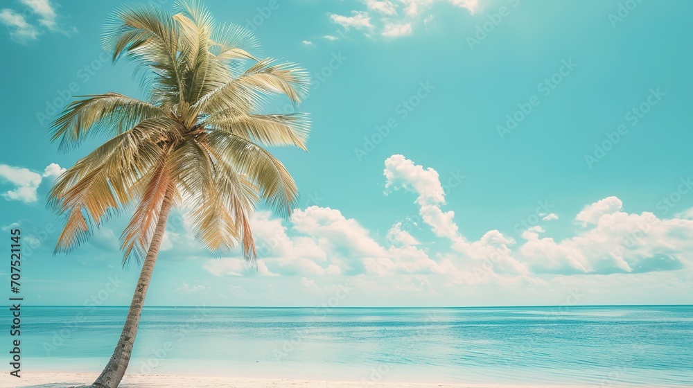 Palm tree on tropical beach with blue sky and white clouds abstract background. Copy space of summer vacation and business travel concept