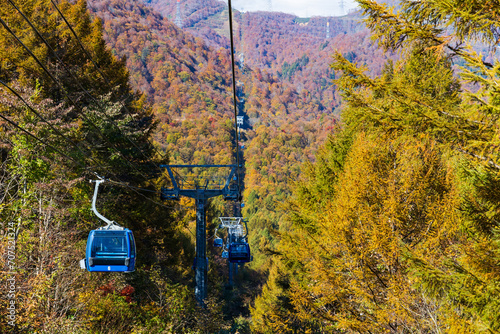 日本の風景　新潟県湯沢町　苗場ドラゴンドラの紅葉	 photo