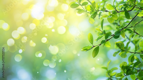 Spring background, green tree leaves on blurred background