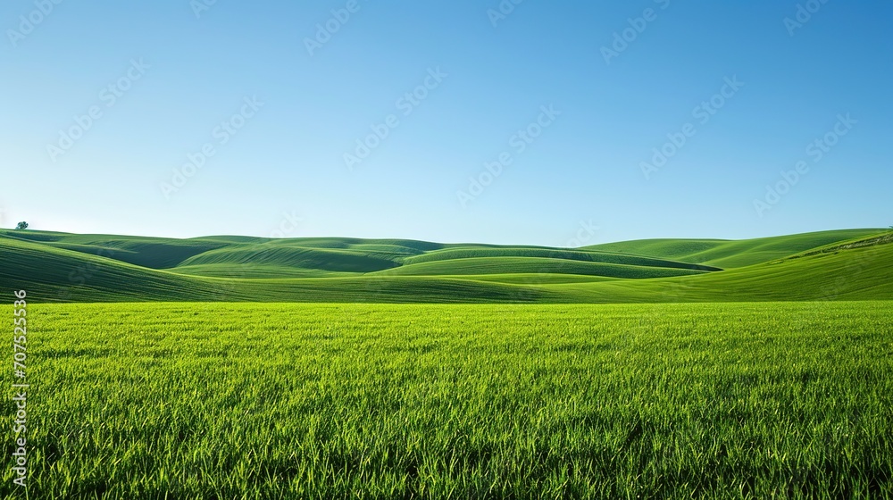 Summertime nature photo of lush green pastures and clear blue sky Explore Earth s beauty Copy space image Place for adding text - obrazy, fototapety, plakaty 