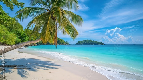 Touched tropical beach in similan island Coconut tree or palm tree on the Beach.